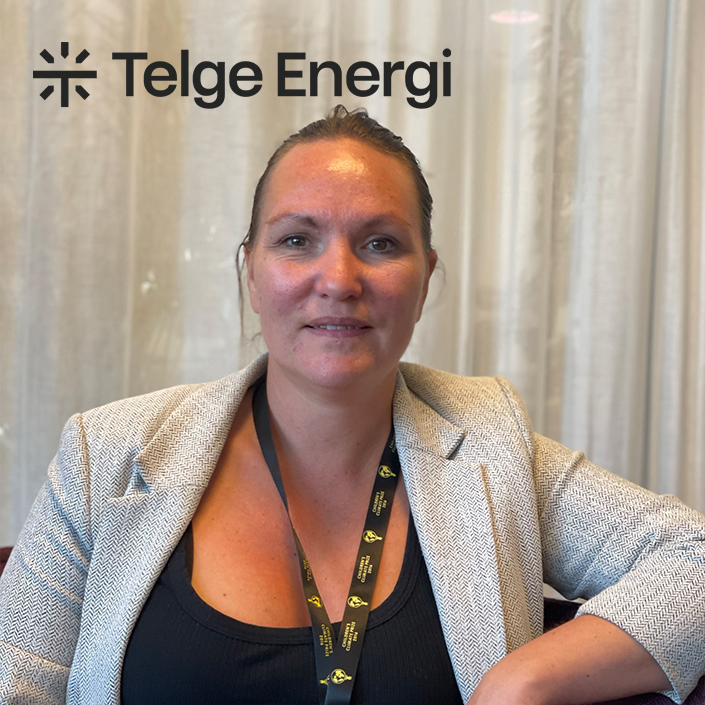 Monica Eidenberg, Telge Energi
